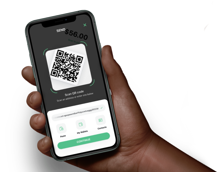 Bitcoin Wallet Store Bitcoin Cash Bch Bitcoin Btc